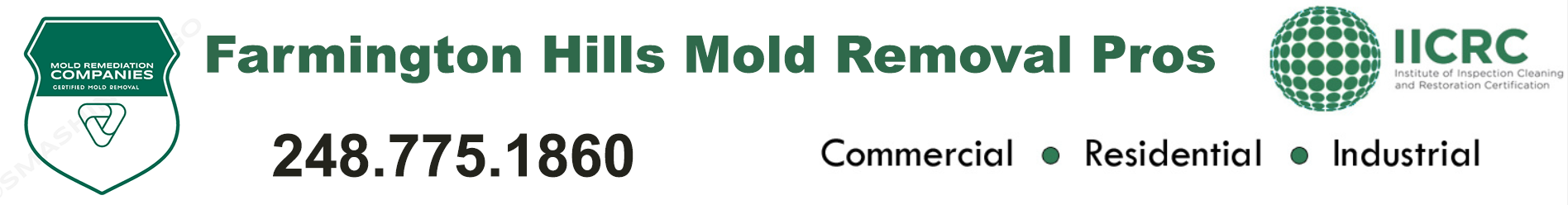Farmington Hills Mold Removal Pros